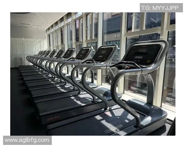 美国星驰健身器材官网：访问美国星驰健身器材官方网站