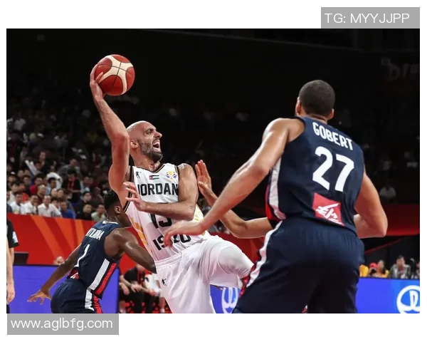 与杨磊深入对话探讨他辉煌的篮球生涯与未来展望